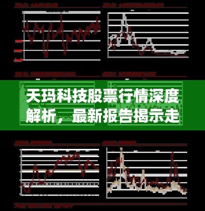 天玛科技股票行情深度解析，最新报告揭示走势与机遇