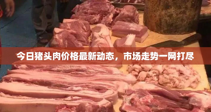 今日猪头肉价格最新动态，市场走势一网打尽