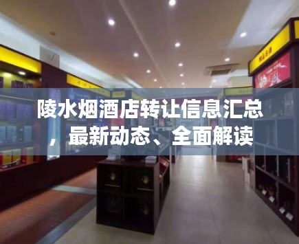 陵水烟酒店转让信息汇总，最新动态、全面解读