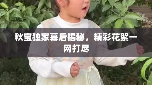 秋宝独家幕后揭秘，精彩花絮一网打尽