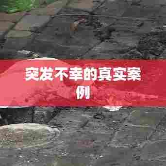 如花似玉 第6页