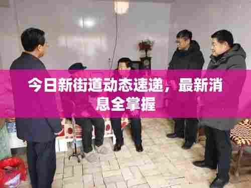 今日新街道动态速递，最新消息全掌握