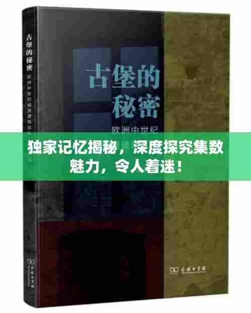 独家记忆揭秘，深度探究集数魅力，令人着迷！