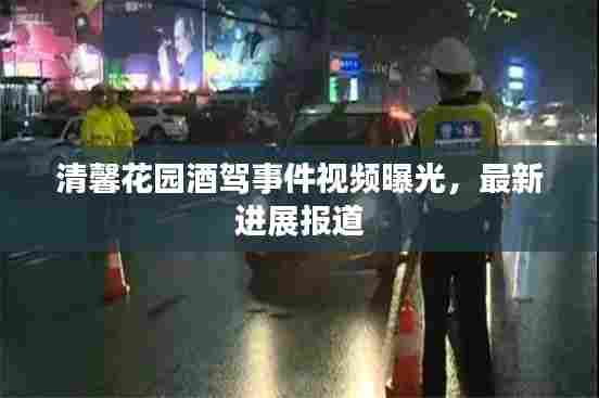 清馨花园酒驾事件视频曝光，最新进展报道