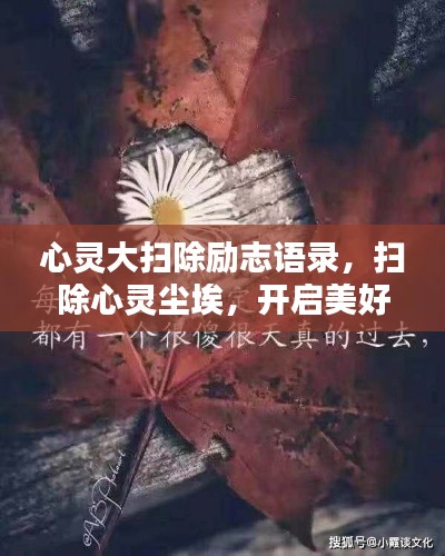 心灵大扫除励志语录，扫除心灵尘埃，开启美好未来之门