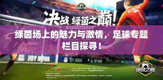 绿茵场上的魅力与激情，足球专题栏目探寻！