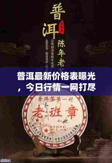 普洱最新价格表曝光，今日行情一网打尽