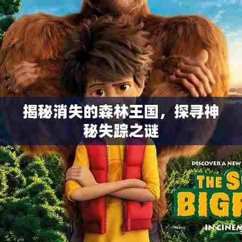 揭秘消失的森林王国，探寻神秘失踪之谜