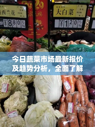 今日蔬菜市场最新报价及趋势分析，全面了解市场动态，掌握价格走势