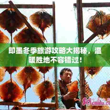 即墨冬季旅游攻略大揭秘，温暖胜地不容错过！