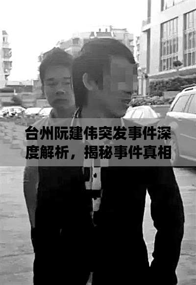台州阮建伟突发事件深度解析，揭秘事件真相与背后故事