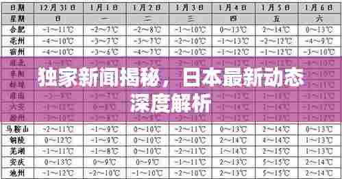 独家新闻揭秘，日本最新动态深度解析