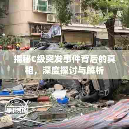 雍荣闲雅 第5页