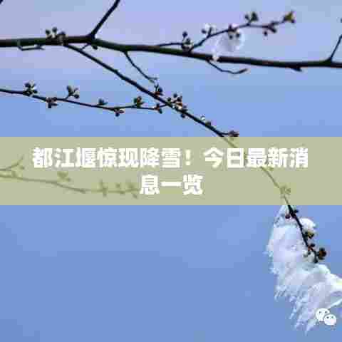 都江堰惊现降雪！今日最新消息一览