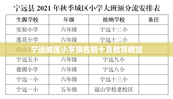 宁远城区小学排名前十及教育概览
