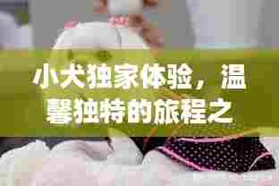 小犬独家体验，温馨独特的旅程之旅