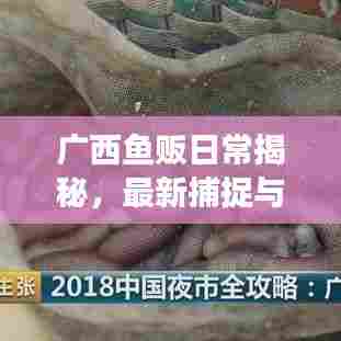 广西鱼贩日常揭秘，最新捕捉与交易纪实视频火爆来袭