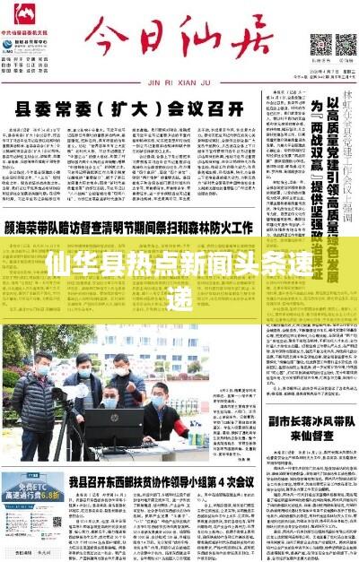 仙华县热点新闻头条速递