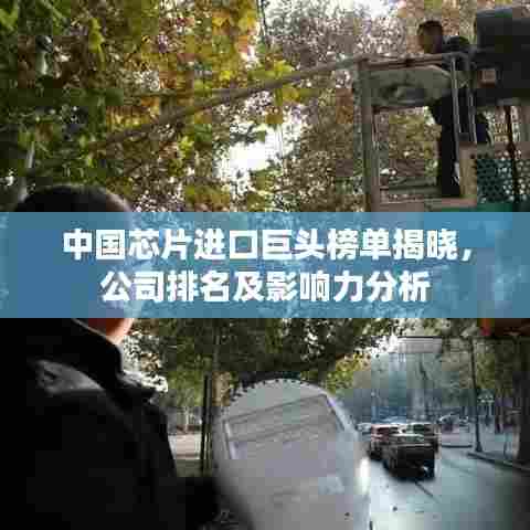 中国芯片进口巨头榜单揭晓，公司排名及影响力分析