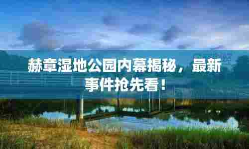 赫章湿地公园内幕揭秘，最新事件抢先看！