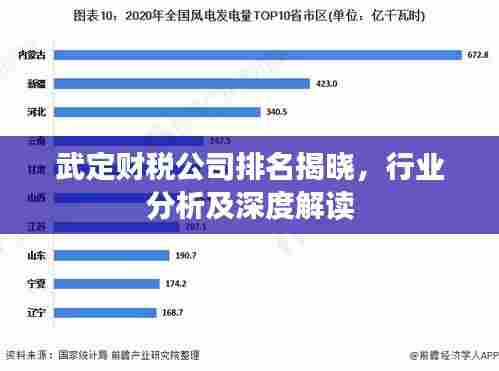 武定财税公司排名揭晓，行业分析及深度解读