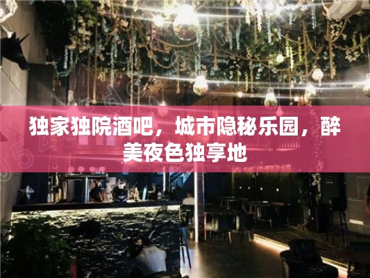 独家独院酒吧，城市隐秘乐园，醉美夜色独享地