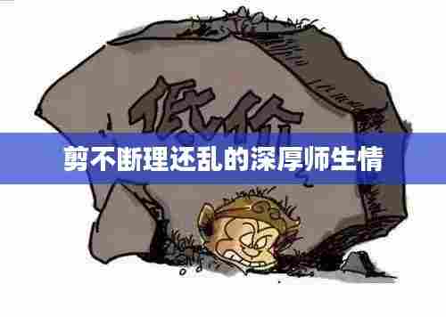 剪不断理还乱的深厚师生情