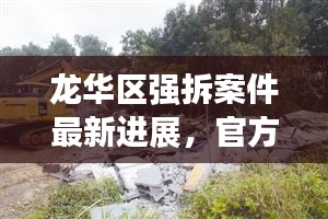 龙华区强拆案件最新进展，官方通报细节曝光