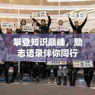 攀登知识巅峰，励志语录伴你同行