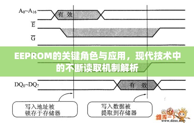 EEPROM的关键角色与应用，现代技术中的不断读取机制解析