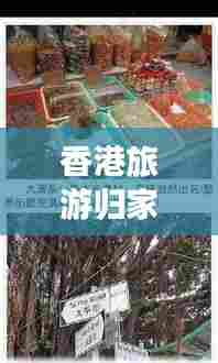 香港旅游归家秘籍，最新攻略指南