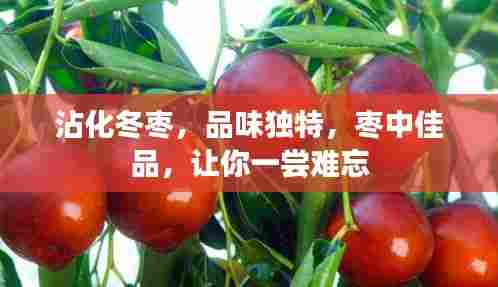 沾化冬枣，品味独特，枣中佳品，让你一尝难忘