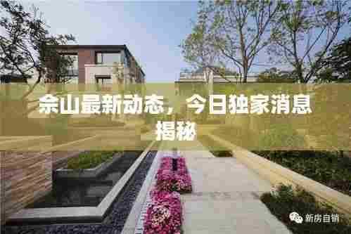 佘山最新动态，今日独家消息揭秘