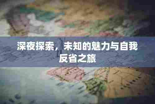 深夜探索，未知的魅力与自我反省之旅