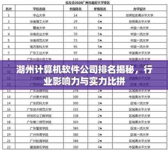 湖州计算机软件公司排名揭秘，行业影响力与实力比拼