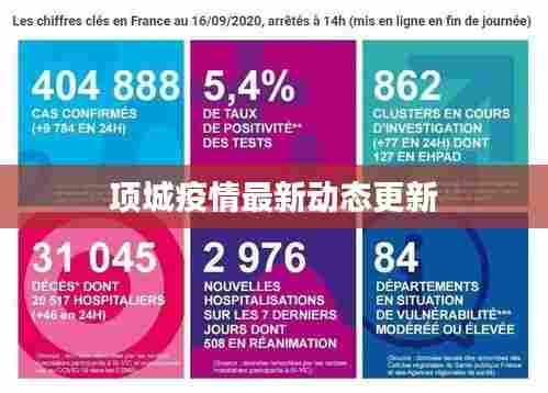 项城疫情最新动态更新