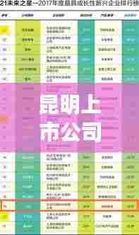 昆明上市公司榜单揭晓，龙头企业大放异彩