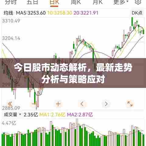 今日股市动态解析，最新走势分析与策略应对