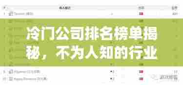 冷门公司排名榜单揭秘，不为人知的行业巨头TOP榜单！
