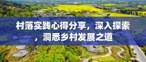 村落实践心得分享，深入探索，洞悉乡村发展之道