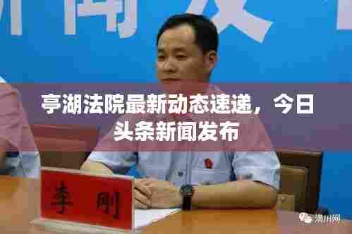 亭湖法院最新动态速递，今日头条新闻发布