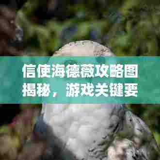 信使海德薇攻略图揭秘，游戏关键要素全掌握！