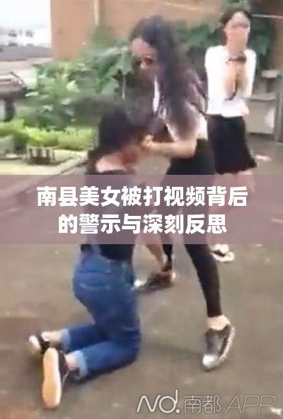 南县美女被打视频背后的警示与深刻反思