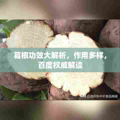 葛根功效大解析，作用多样，百度权威解读