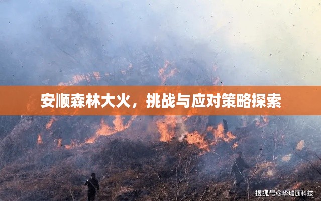 安顺森林大火，挑战与应对策略探索