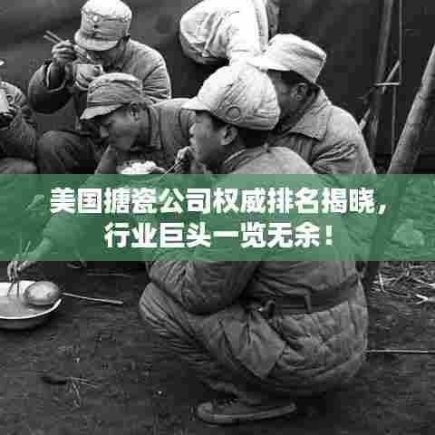 美国搪瓷公司权威排名揭晓，行业巨头一览无余！