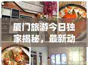 厦门旅游今日独家揭秘，最新动态一网打尽！