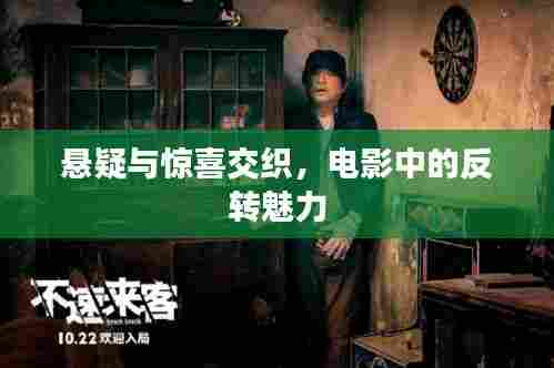 悬疑与惊喜交织，电影中的反转魅力