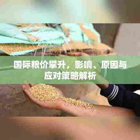 国际粮价攀升，影响、原因与应对策略解析