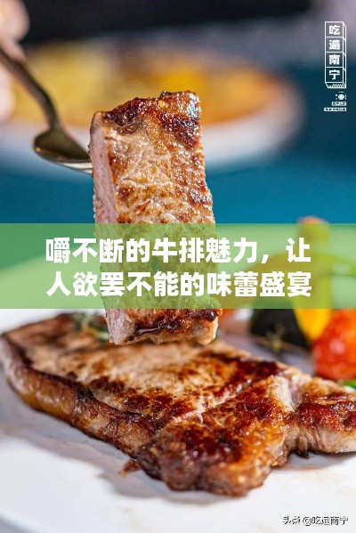 嚼不断的牛排魅力，让人欲罢不能的味蕾盛宴